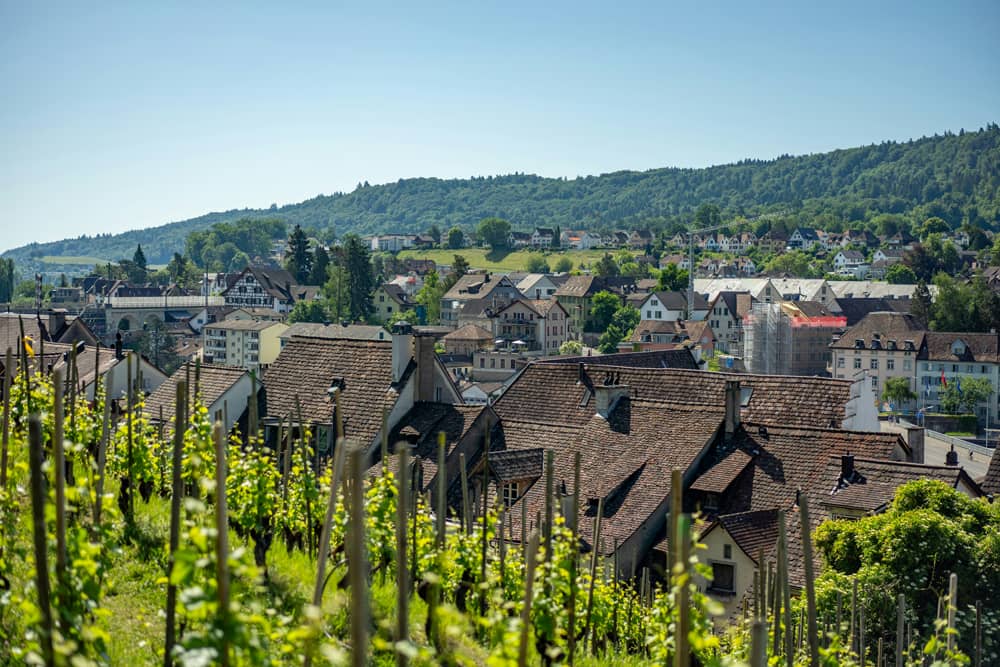 Estimation précise et argumentée cession parcelle vignes bourgogne